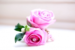 Buttonhole Flowers