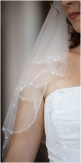 Bride and Veil