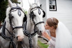 Bride with the horse and cart