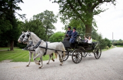 Bride and Groom with the horse and cart arriving at Mulberry House