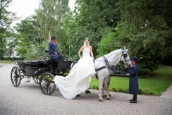 Bride with horse and cart at Mulberry House