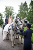 Bride with horse and cart at Mulberry House