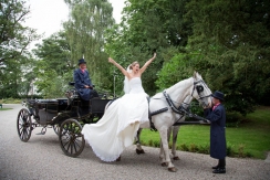 Bride with horse and cart at Mulberry House