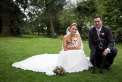 Bride and Groom with their dogs as Mulberry House