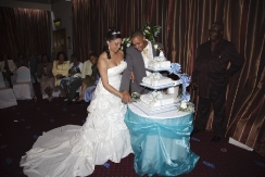 Bride and Groom cutting of the cake